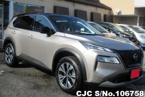 Nissan X-Trail in Silver for Sale Image 0