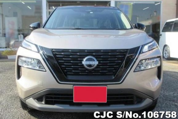 Nissan X-Trail in Silver for Sale Image 4