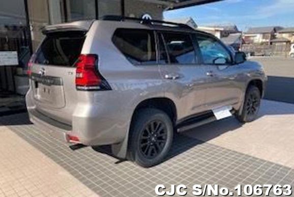 Toyota Land Cruiser Prado in Gray for Sale Image 1