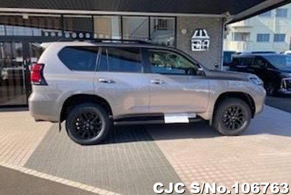 Toyota Land Cruiser Prado in Gray for Sale Image 6