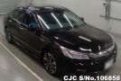 Honda Accord in Black for Sale Image 0