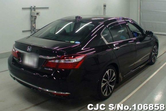 Honda Accord in Black for Sale Image 1