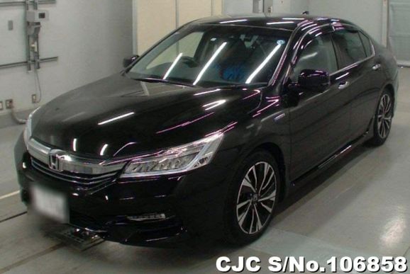 Honda Accord in Black for Sale Image 3