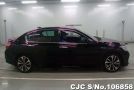 Honda Accord in Black for Sale Image 4