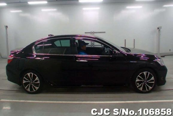 Honda Accord in Black for Sale Image 4