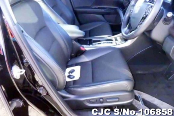 Honda Accord in Black for Sale Image 7