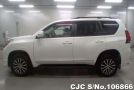 Toyota Land Cruiser Prado in White for Sale Image 5