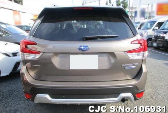 Subaru Forester in Brown for Sale Image 2