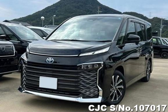 Toyota Voxy in Black for Sale Image 0