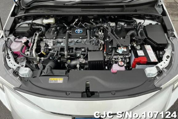 Toyota Corolla in Pearl for Sale Image 15