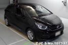 Honda Fit in Black for Sale Image 0