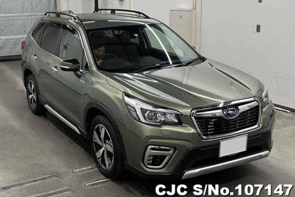 Subaru Forester in Green for Sale Image 0