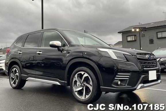 Subaru Forester in Black for Sale Image 0