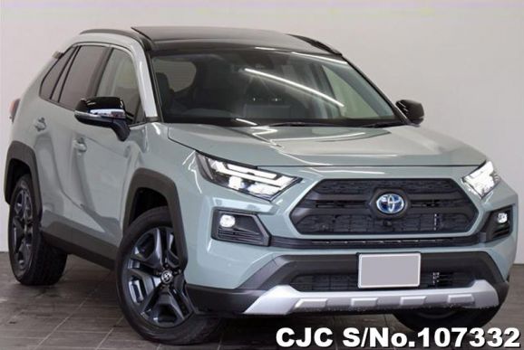 Toyota Rav4 in Green for Sale Image 0