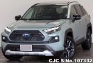 Toyota Rav4 in Green for Sale Image 3