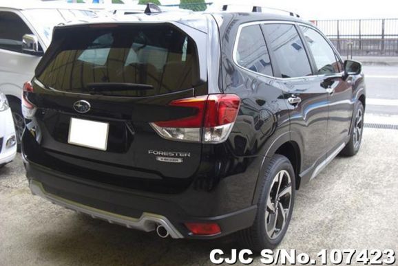 Subaru Forester in Black for Sale Image 1