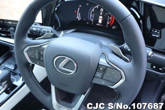 Lexus NX 350H in Black for Sale Image 12