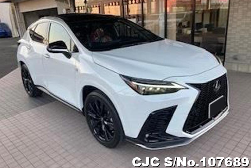 Lexus / NX 350H 2023