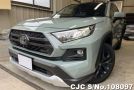 Toyota Rav4 in Khaki for Sale Image 3