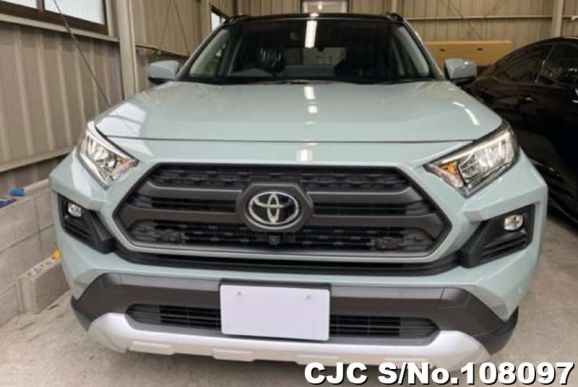 Toyota Rav4 in Khaki for Sale Image 4