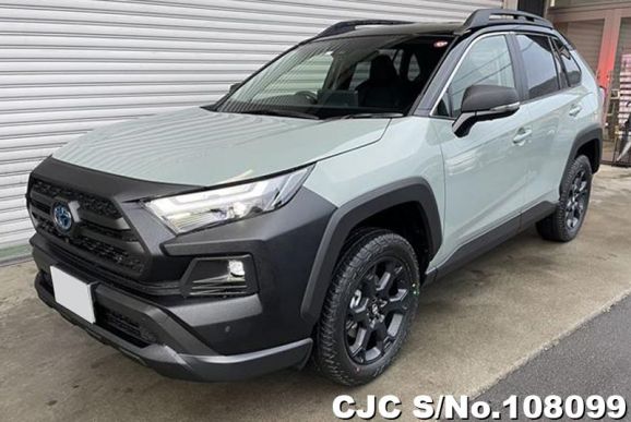 Toyota Rav4 in Gray for Sale Image 4