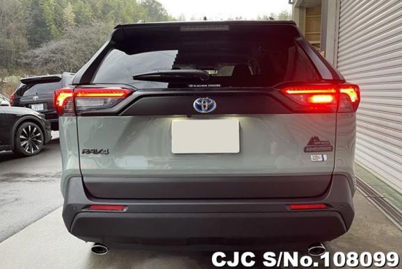 Toyota Rav4 in Gray for Sale Image 6