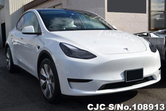 Tesla Model Y in White for Sale Image 0