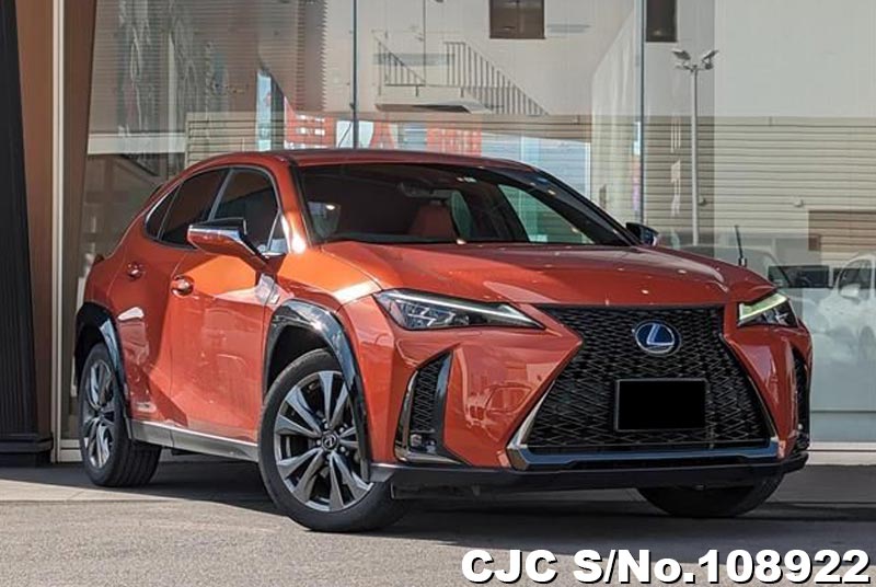 Lexus / UX 250H 2020