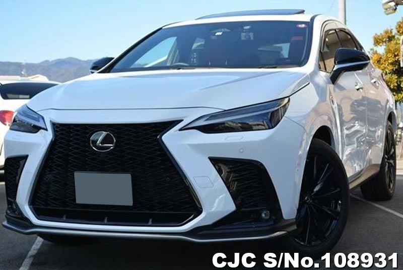 Lexus / NX 350H 2022