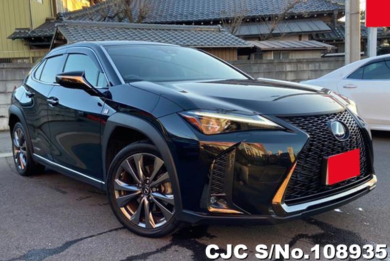 Lexus / UX 250H 2020