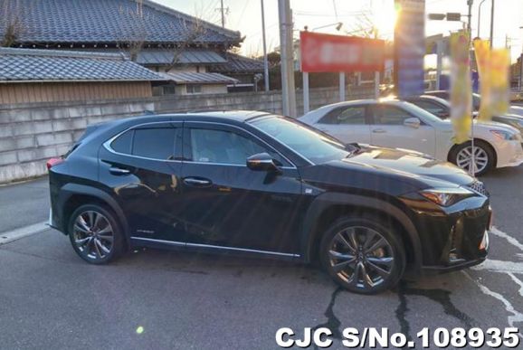 Lexus UX 250H in Black for Sale Image 3