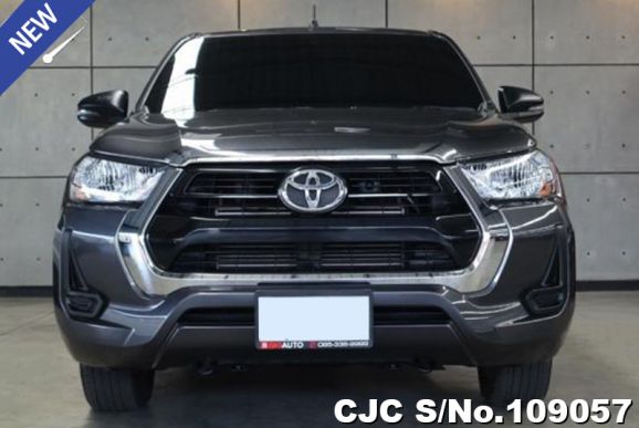 Toyota Hilux in Gray for Sale Image 2