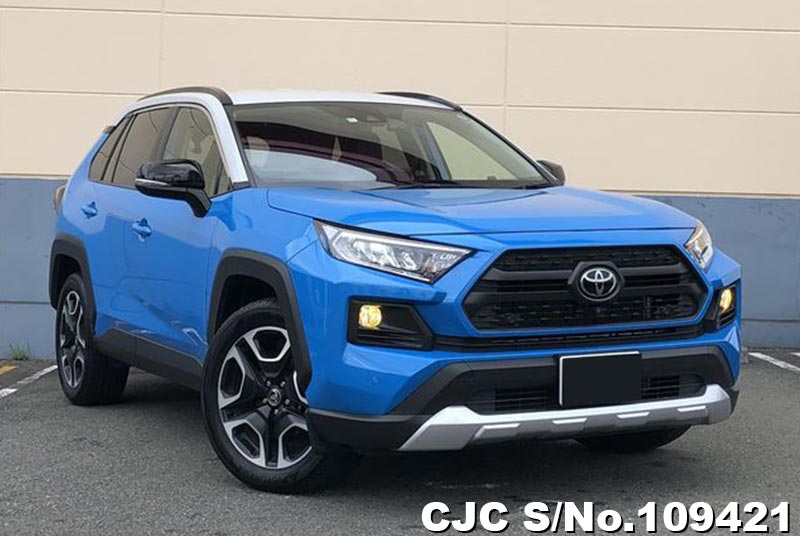 Toyota / Rav4 2020