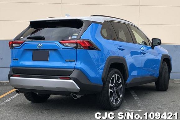 Toyota Rav4 in Blue for Sale Image 2