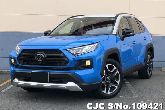 Toyota Rav4 in Blue for Sale Image 3