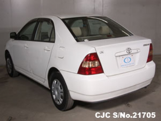 2002 Toyota Corolla White For Sale Stock No 21705 Japanese Used Cars Exporter