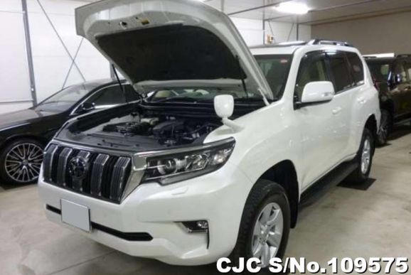 Toyota Land Cruiser Prado in White for Sale Image 13