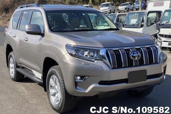 Toyota Land Cruiser Prado in Gray for Sale Image 0