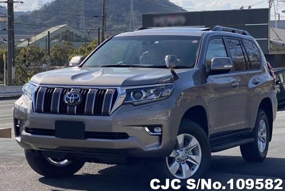 Toyota Land Cruiser Prado in Gray for Sale Image 3