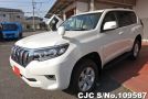 Toyota Land Cruiser Prado in Pearl for Sale Image 3