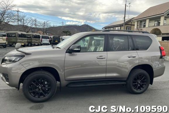 Toyota Land Cruiser Prado in Gray for Sale Image 2