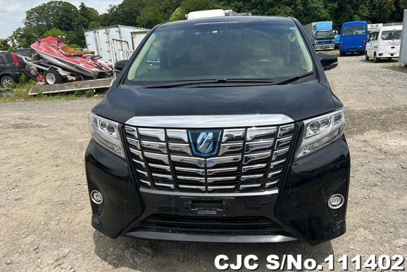 Toyota Alphard in Black for Sale Image 5